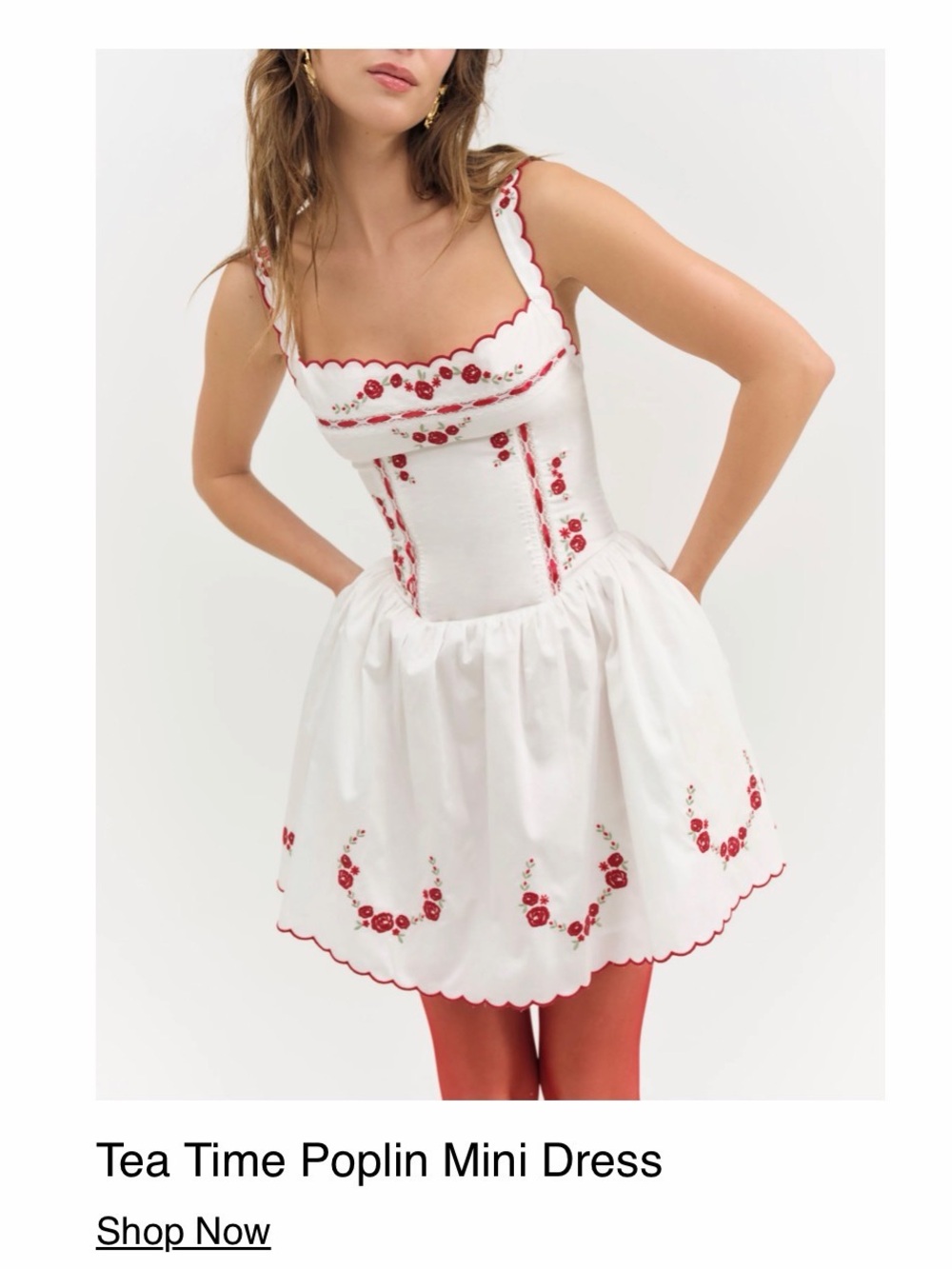 Tea time for love and lemons White Poplin Mini Dress with Red Floral Embroidery - Picture 6 of 8